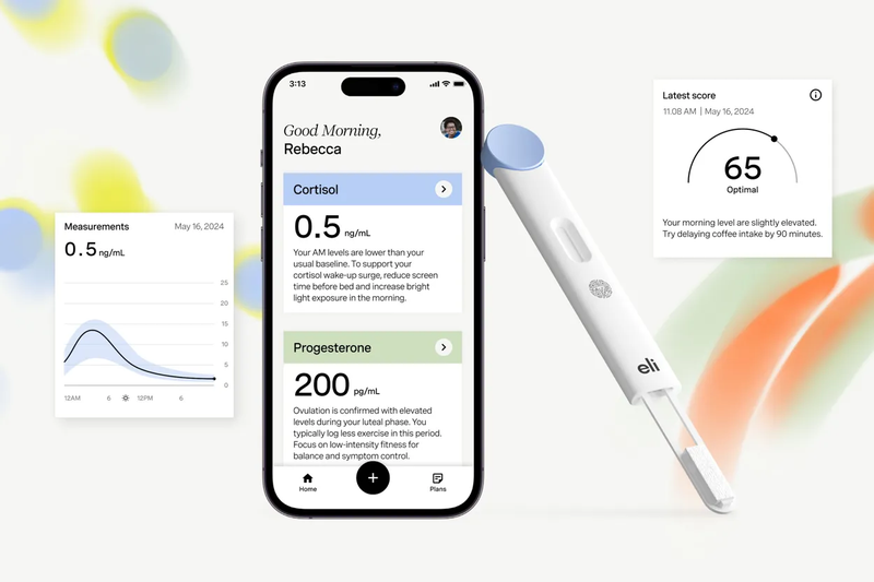 Hormometer - Image: Consumer Electronics Show (CES)