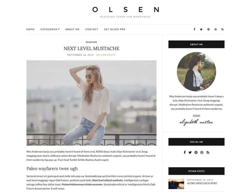 Olsen Light WordPress 主题，适合博客作者，设计简约而精致