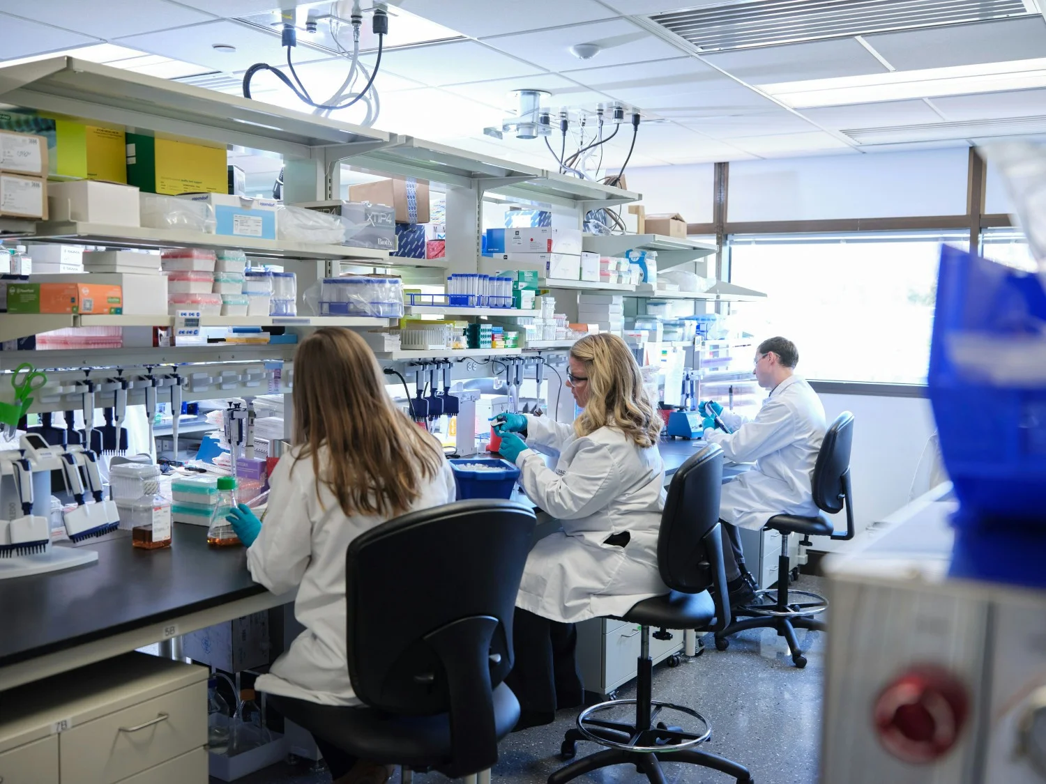 Insmed Laboratoryの従業員の躍進