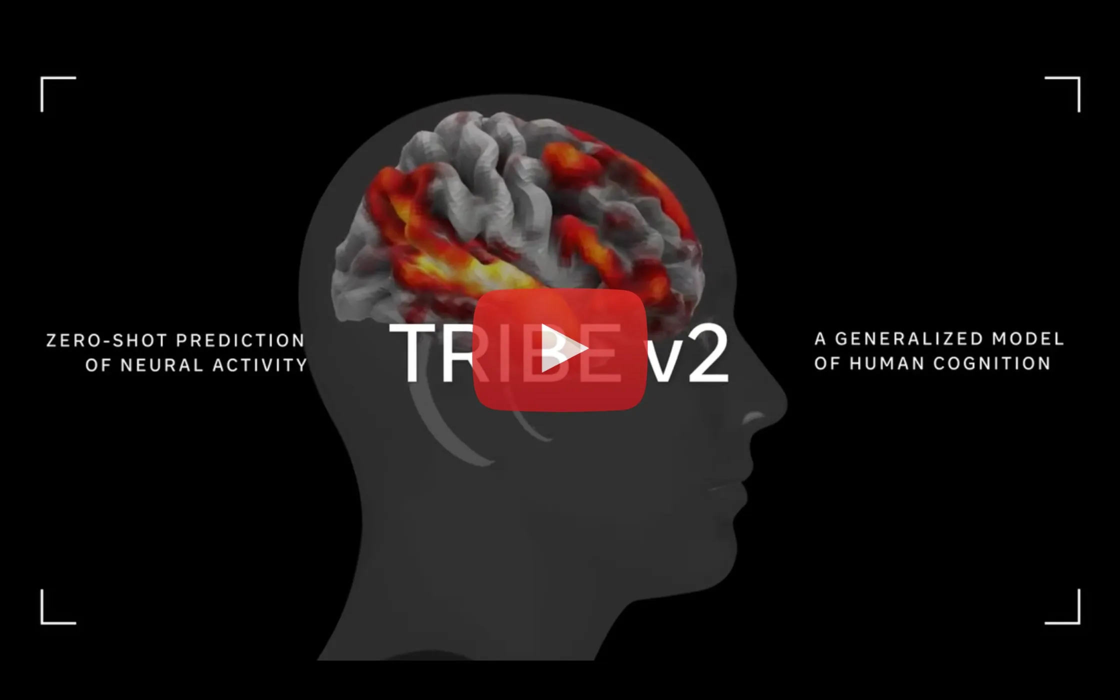 神经网络可视化帮助人们通过大脑行为建模在线赚钱